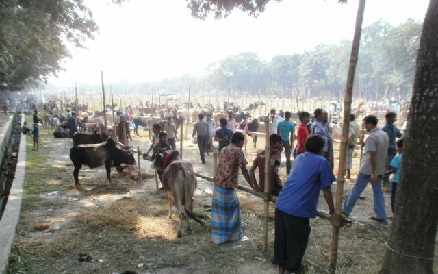 Traditional Qurbani animal market in Bangladesh