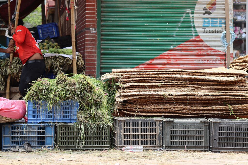Qurbani animals at a market before Eid ul Adha
