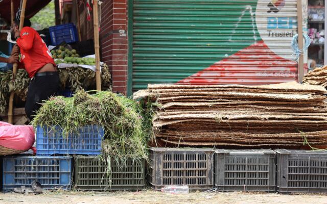 Qurbani animals at a market before Eid ul Adha