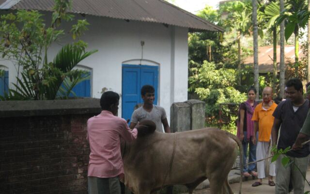 Preparing a Qurbani animal on Eid al-Adha