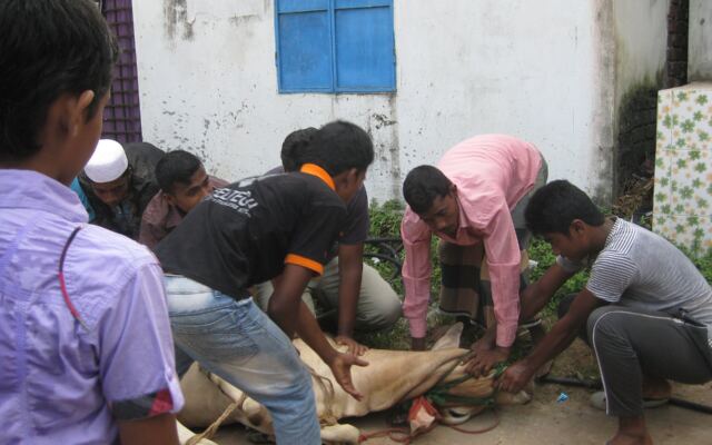 Neighbours preparing for Qurbani on Eid al-Adha